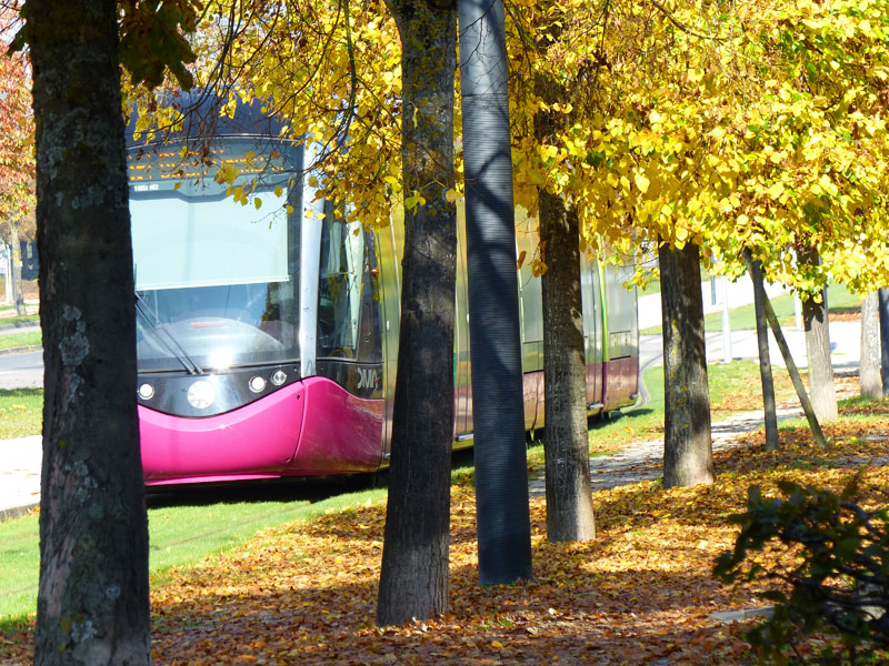 L'automne à Dijon