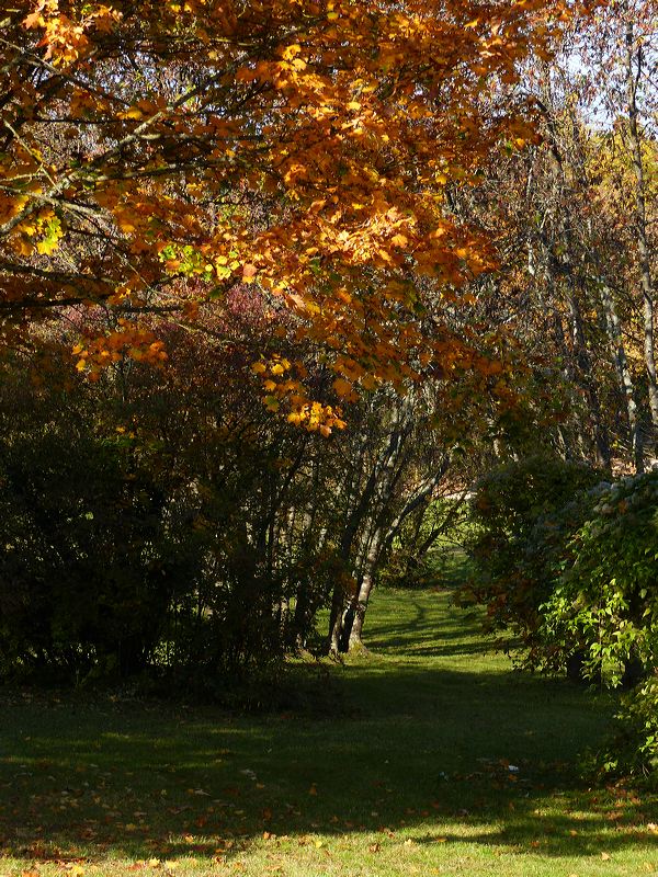 Dans le parc en automne