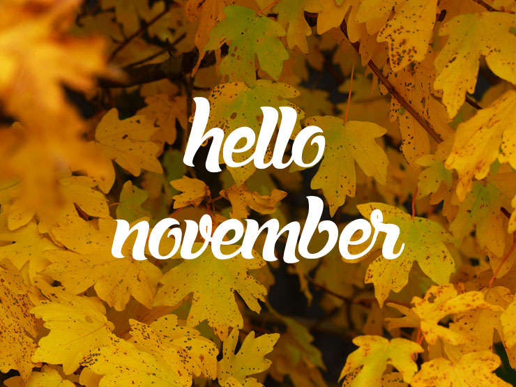 Hello November