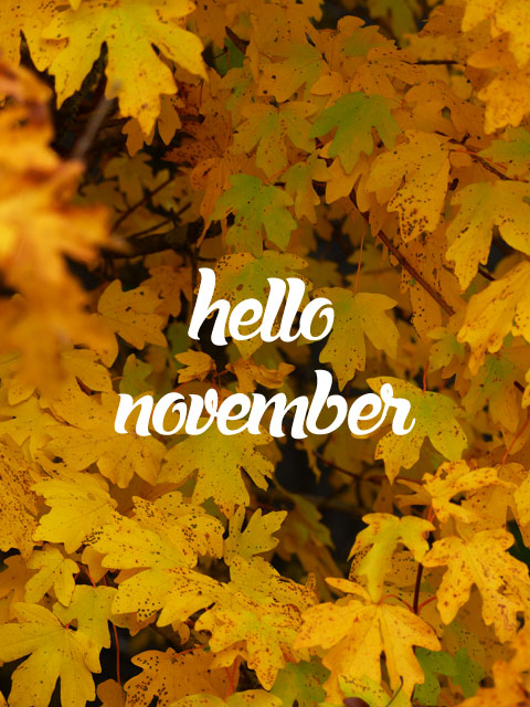 Format portrait de l'illustration Hello November