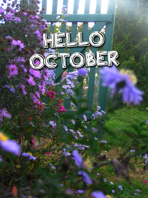 Hello october et les couleurs de l'automne