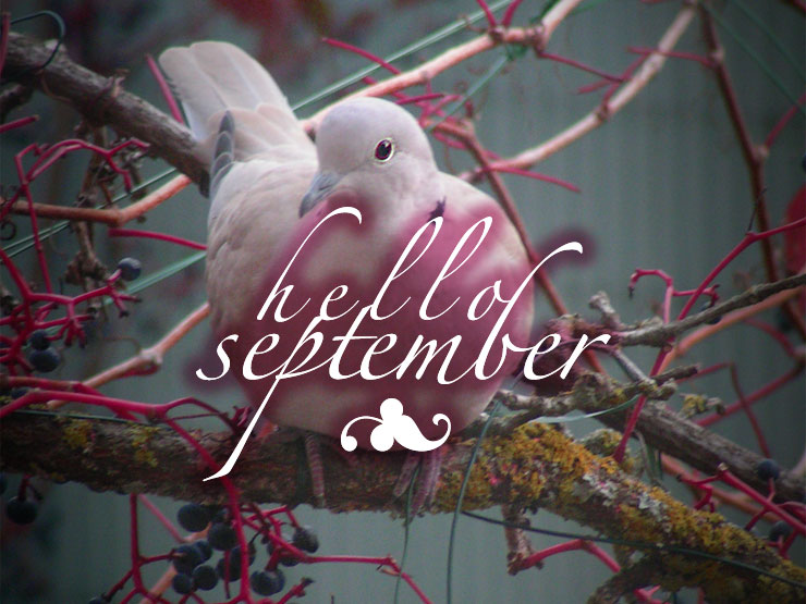 Hello september