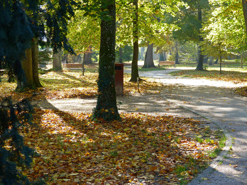 Parc urbain en automne