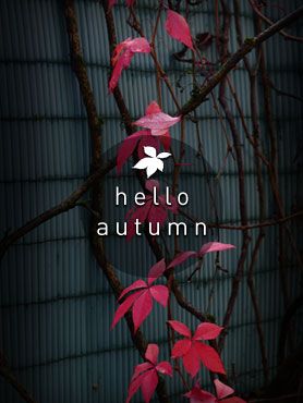 carte postale disant hello autumn