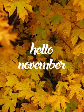 hello november, bienvenue à novembre