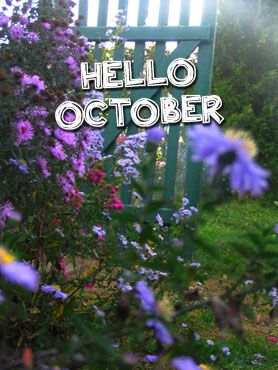 hello October, ça veut dire vive le mois d'octobre