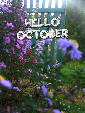 hello October, ça veut dire vive le mois d'octobre