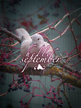 hello September, bienvenue au mois de septembre