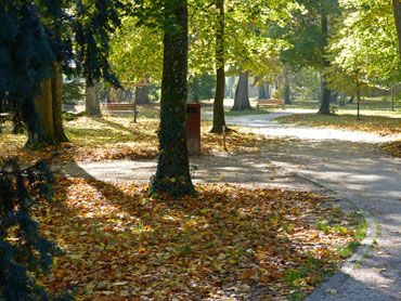 parc-en-automne