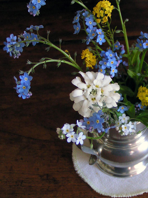 Bouquet printanier de myosotis