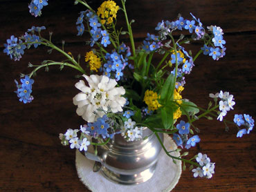 photo gratuite de bouquet printanier de myosotis