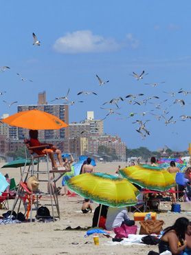 La plage de New York