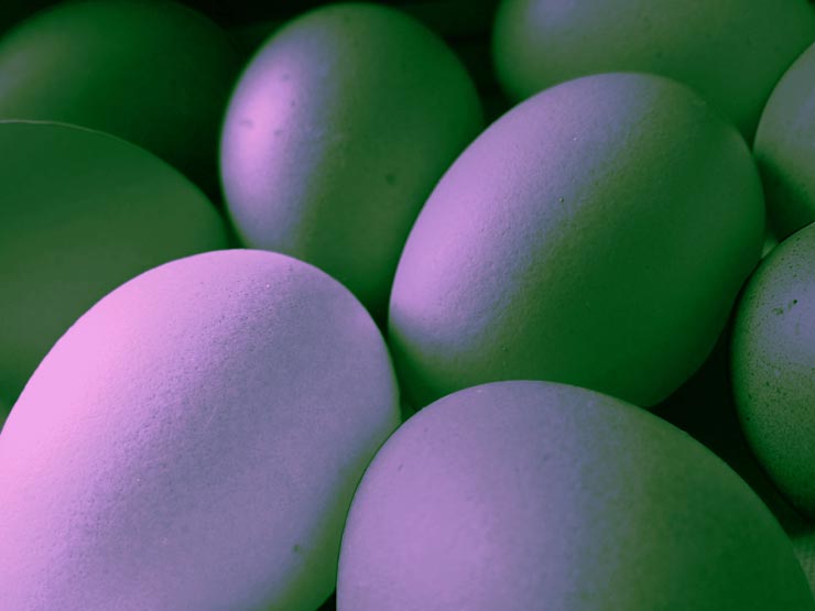 9 oeufs de Pâques violet-vert