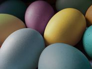 Téléchargez une photo d'œufs de Pâques couleur pastel