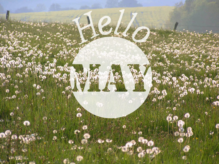 Paysage avec des pissenlits et illustration Hello May