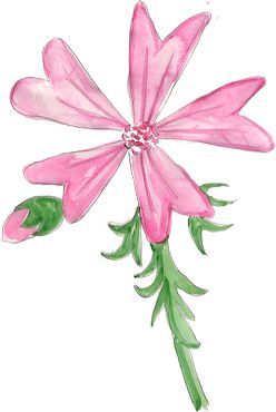 fleur de mauve à l'aquarelle