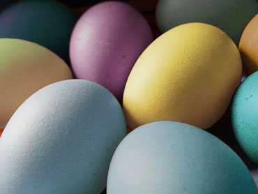 photo gratuite œufs de Pâques couleur pastel