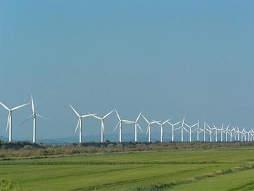 Image gratuite : champ d'éoliennes