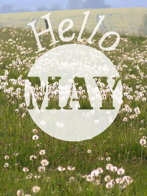 Format portrait de l'illustration Hello May