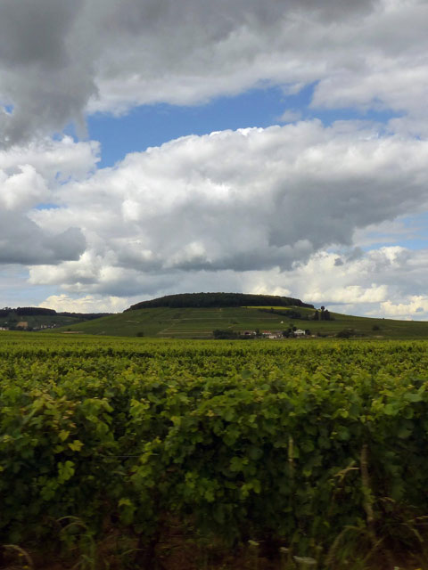 Mont de Corton