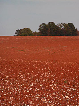 terre labourée rousse en automne