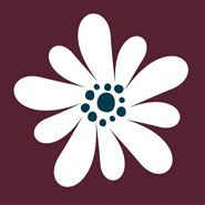 motif fleur 11 blanc sur fond lie de vin