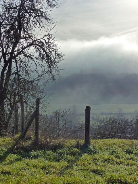 Un matin en Bourgogne