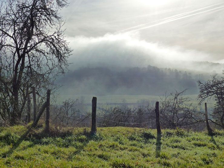 Paysage de brouillard