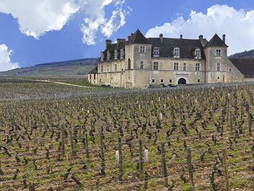 Château du Clos Vougeot