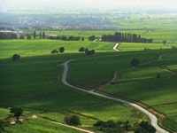 Vignoble vers Beaune