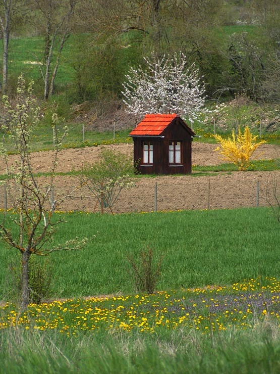 Photo gratuite de cabane de jardin