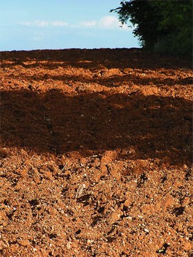 champ labouré en septembre