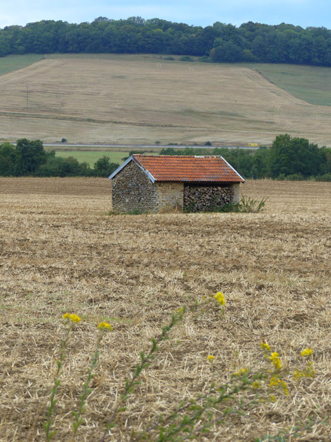 Grange dans un champ