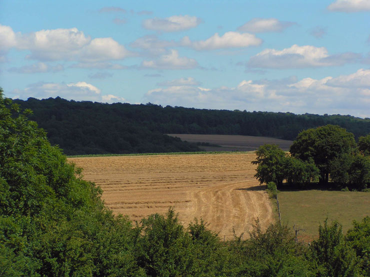 Photo gratuite de paysage campagnard en été et paille