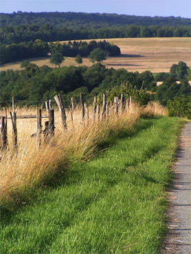 route de campagne