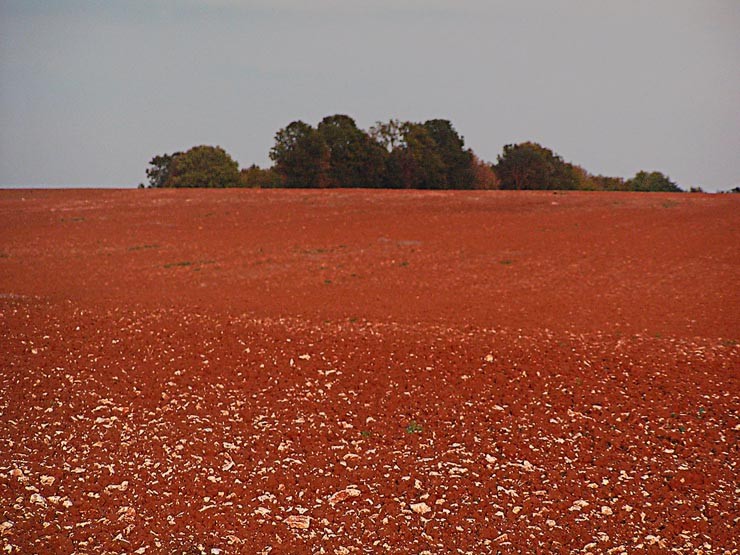 Champ labouré de couleur rousse