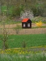 Cabane de jardin