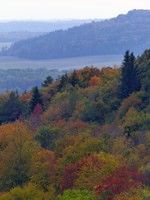 forêt en automne