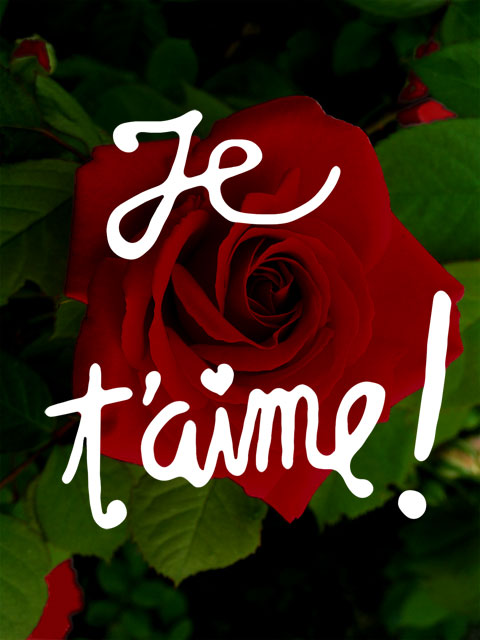 image gratuite : Je t'aime !