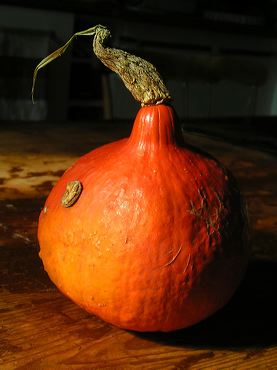 la citrouille sur la table de la sorcière