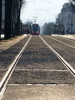 rails-tramway