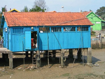 cabane huitres oleron image gratuite