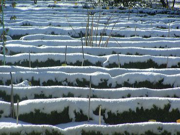 bandes de neige