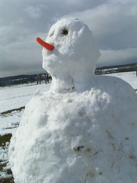 Bonhomme de neige regardant le ciel