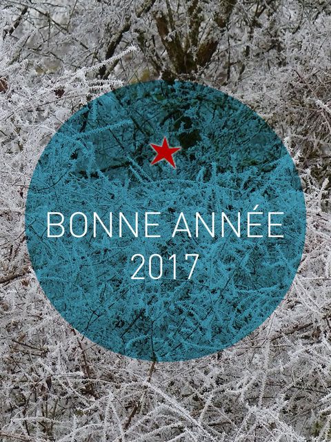 carte de vœux Bonne année 2017 format vertical