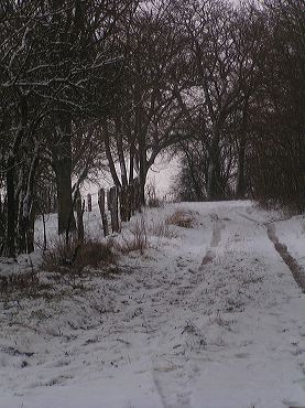 paysage chemin neige en hiver