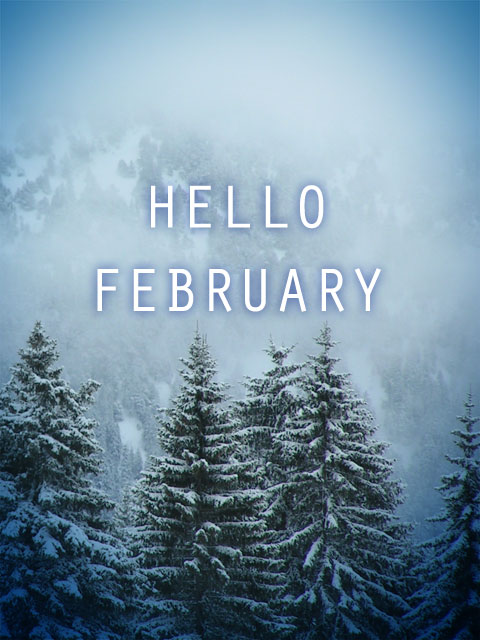 Hello February photo HD de neige