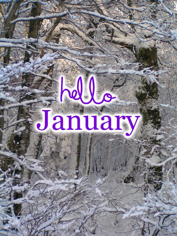 Hello January