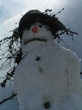 photo bonhomme de neige