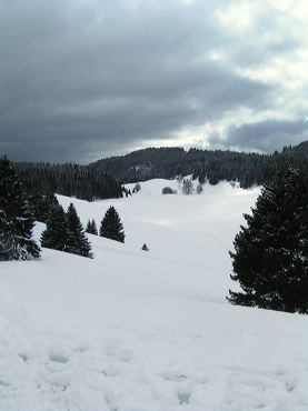 Montagne en hiver